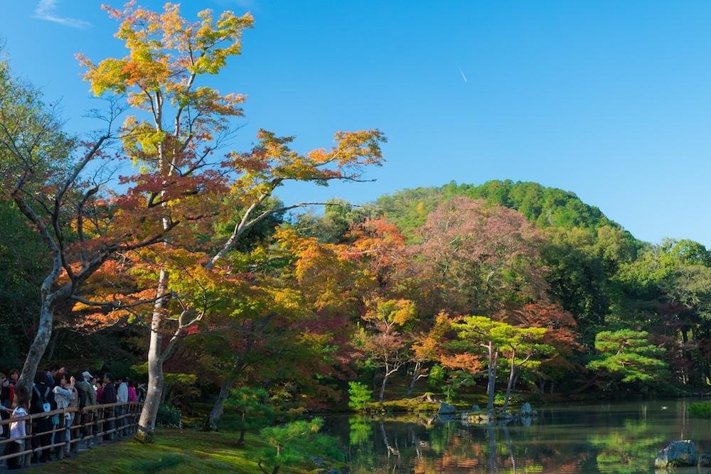 Kyoto Temple - Kinkaku-ji - Tourism - AJ Paris Travel Magazine