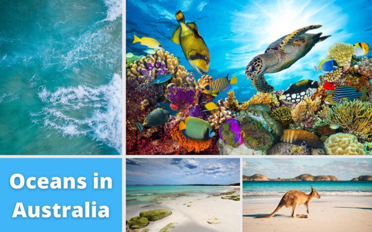 Oceans in Australia - AJ Paris Travel