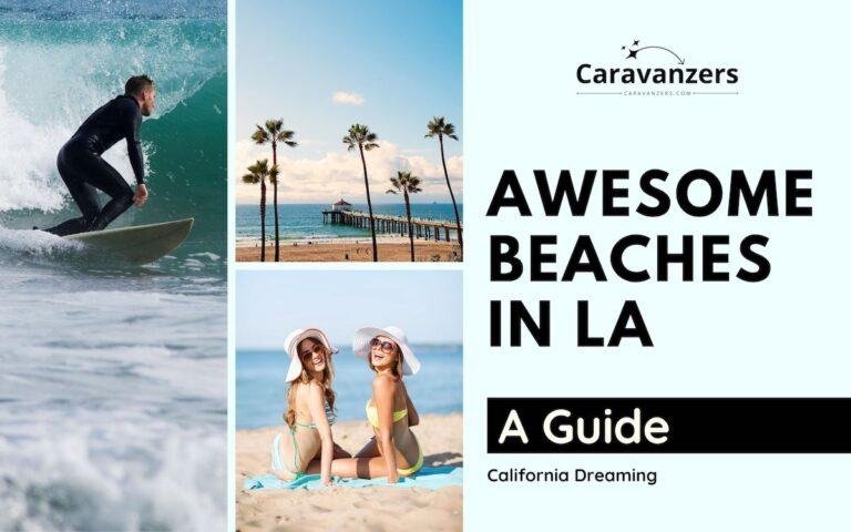 16 Nice Beaches in Los Angeles - Caravanzers