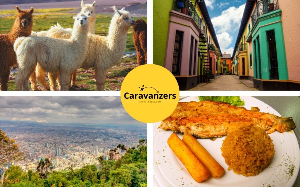 Things to Do in Bogota - Caravanzers