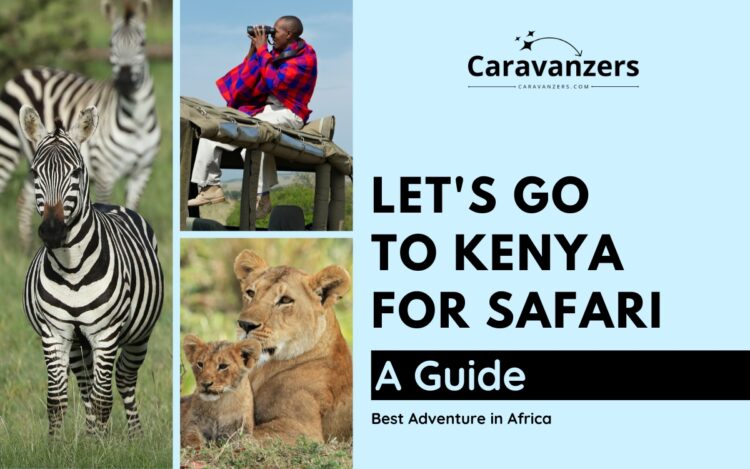 Kenya Safari Travel - Ultimate Guide to a Beautiful Adventure in Africa - Caravanzers