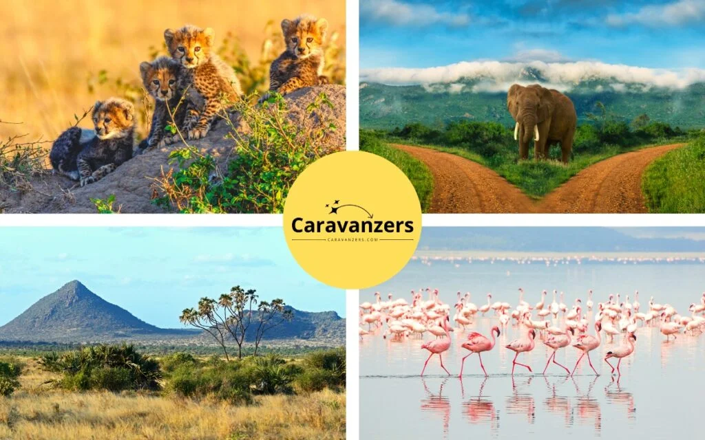 Safari Destinations in Kenya - Caravanzers