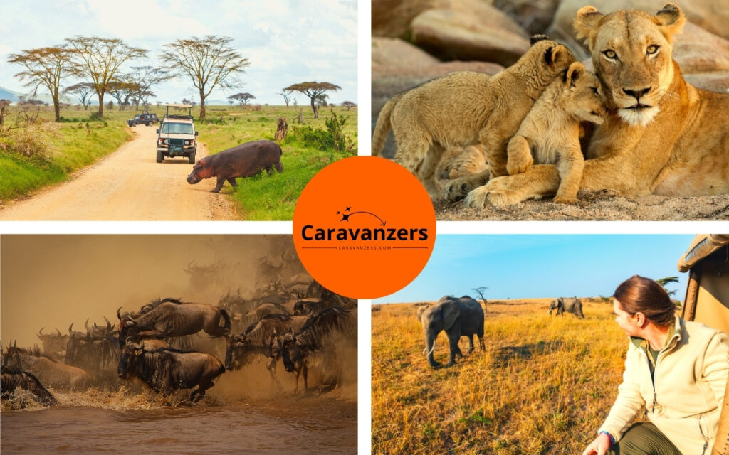 Insurance for Safari Trips - A Guide - Caravanzers