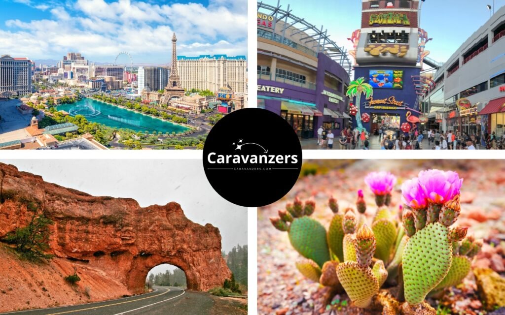 Las Vegas Attractions