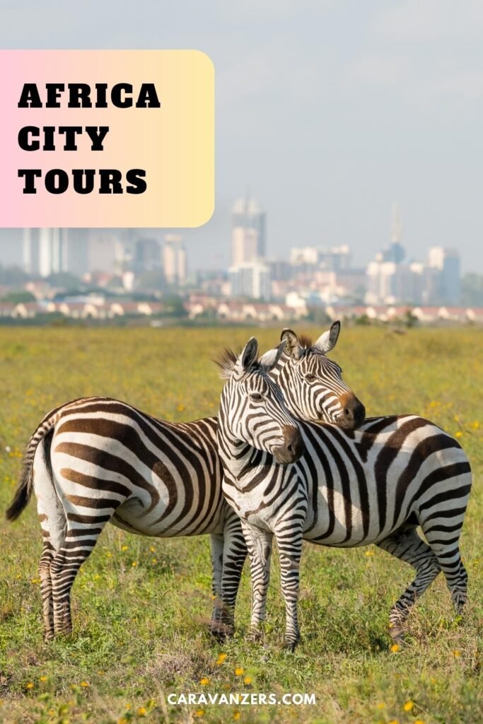 Africa City Tours