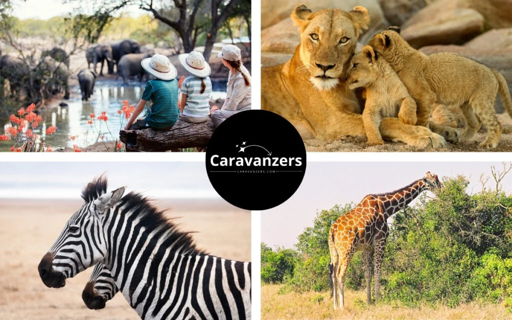 Wildlife Bucket List