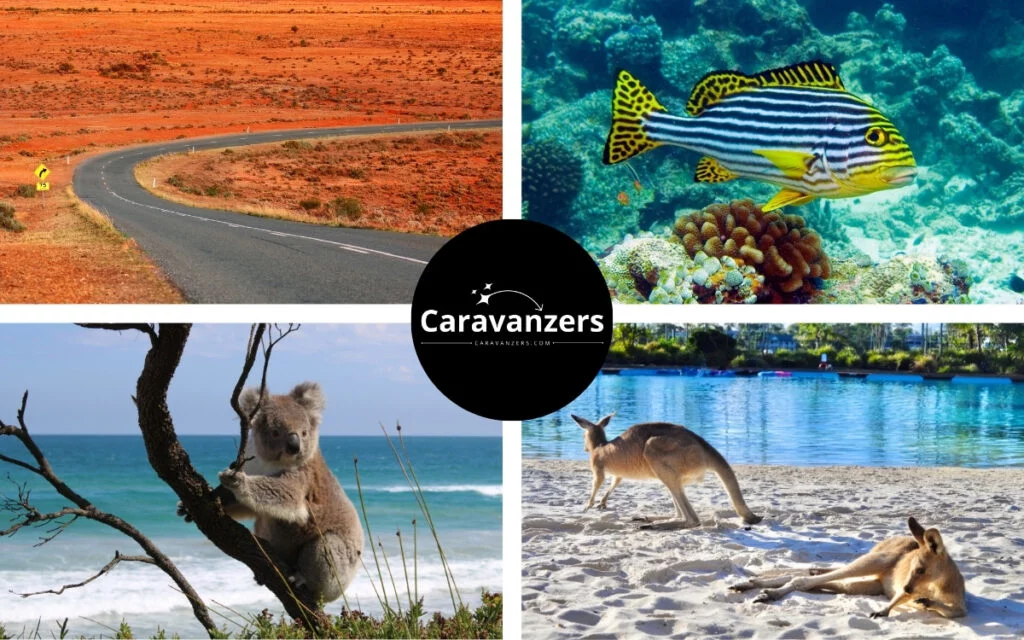 Australia Wildlife Travel