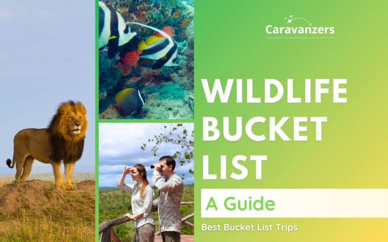 Wildlife Bucket List Travel Guide for Your Dream Trip to Nature
