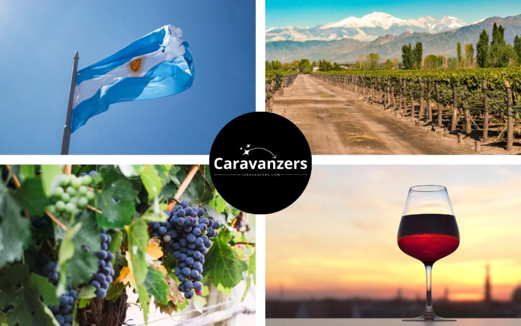 Argentina Wine Basics