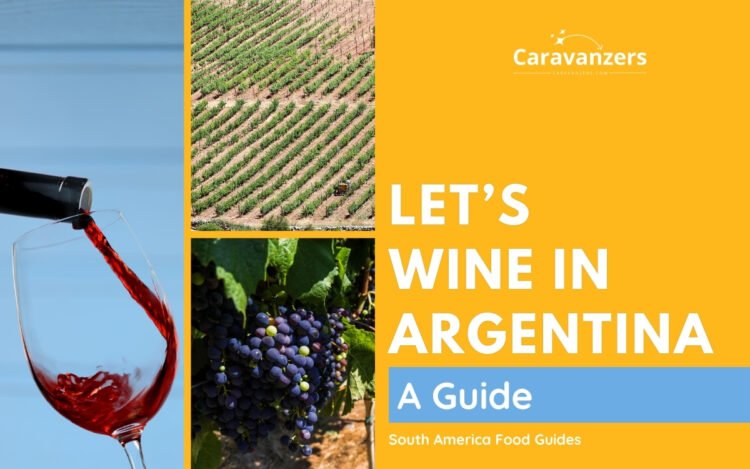 Argentina Wine Guide for Your Trip to This Beautiful Destination