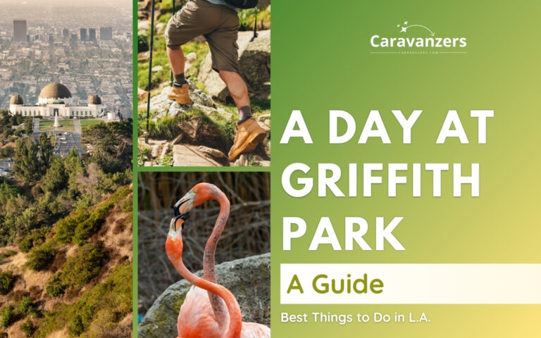 Spend a Day in Griffith Park for Your Trip to L.A.